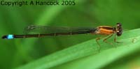 DSCF6060_1