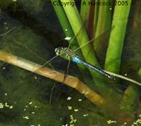 DSCF6418_1