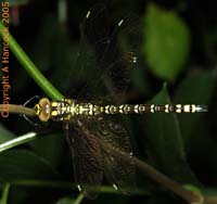 DSCF6608_1
