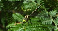 DSCF7045_1